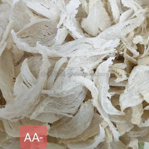 GHBN 金屋燕窝 Thai birdnest